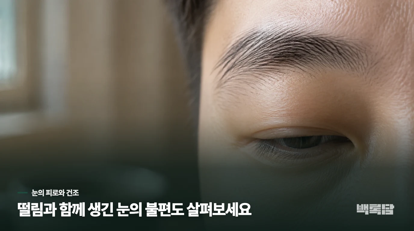커피뿐 아니라 눈의 피로와 건조도 줄여 보세요