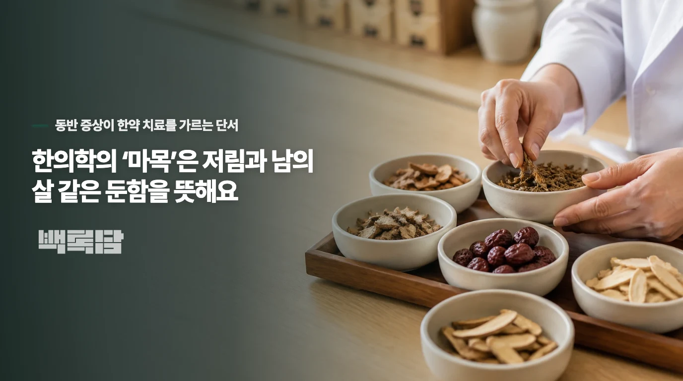 한의학의 ‘마목’은 저림과 남의 살 같은 둔함을 뜻해요