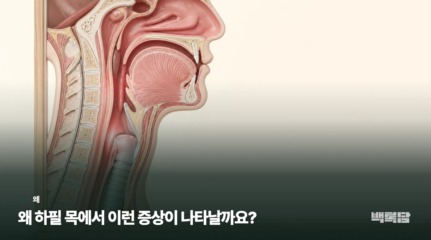 왜 하필 목에서 이런 증상이 나타날까요?