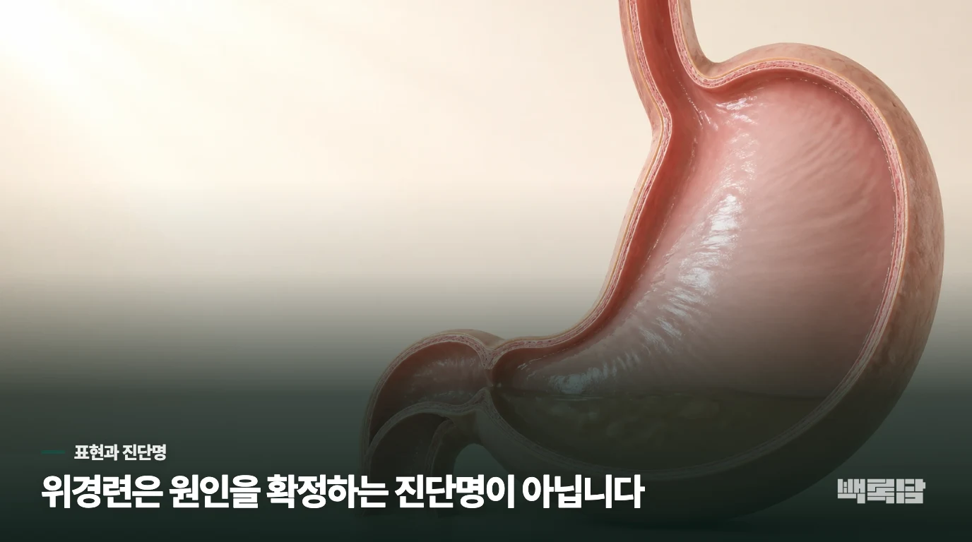 ‘위경련’은 왜 소화불량과 겹쳐 들릴까요?