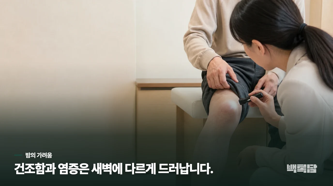 새벽에 가려움이 커지는 장면을 읽는 법