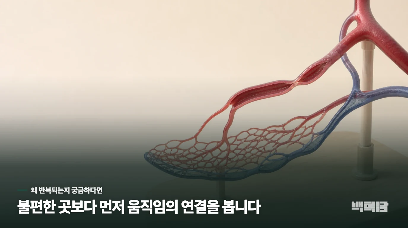 손끝이 갑자기 하얗게 변했다가 파랗게 되는데 왜 이럴까요?