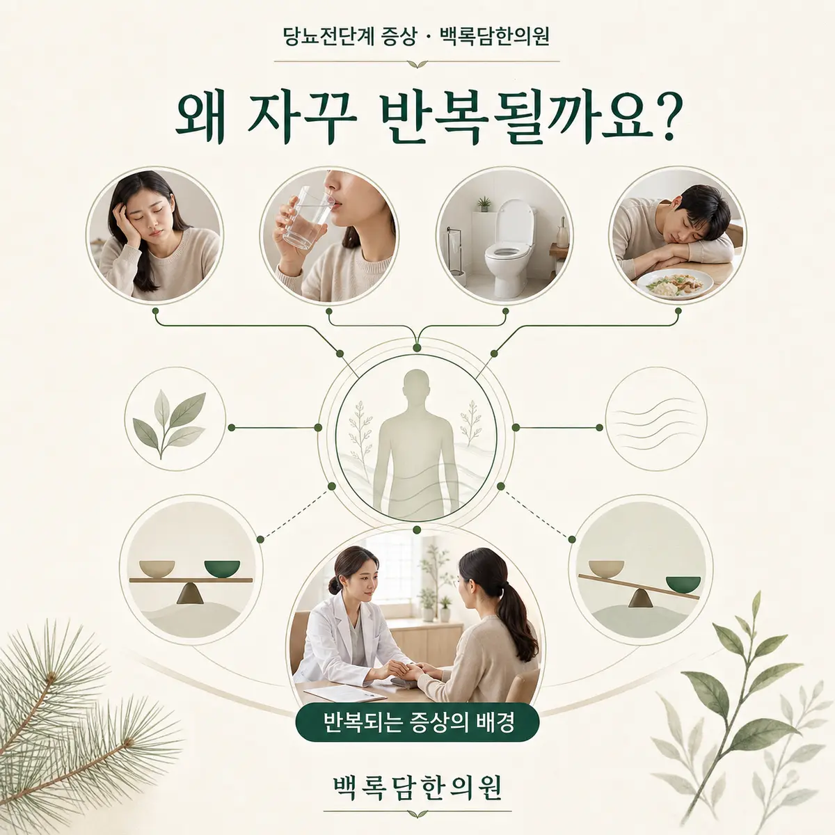 왜 반복되는 걸까요 — 겉 증상과 몸속 조건(체질/불균형)을 연결하는 한의학적 개념도 — 관계도/다이어그램 톤