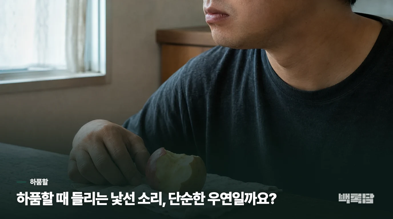 하품할 때 들리는 낯선 소리, 단순한 우연일까요?
