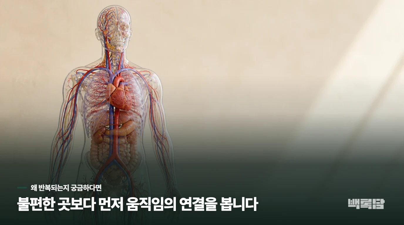 피부색이 백색, 청색, 적색으로 변하는 이유는 무엇인가요?