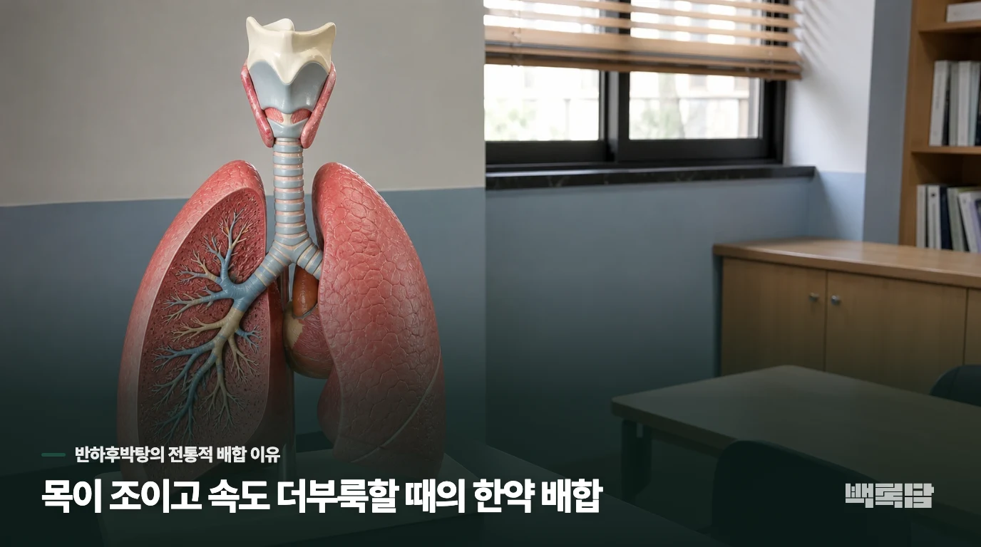 목이 조이고 속도 더부룩할 때의 한약 배합