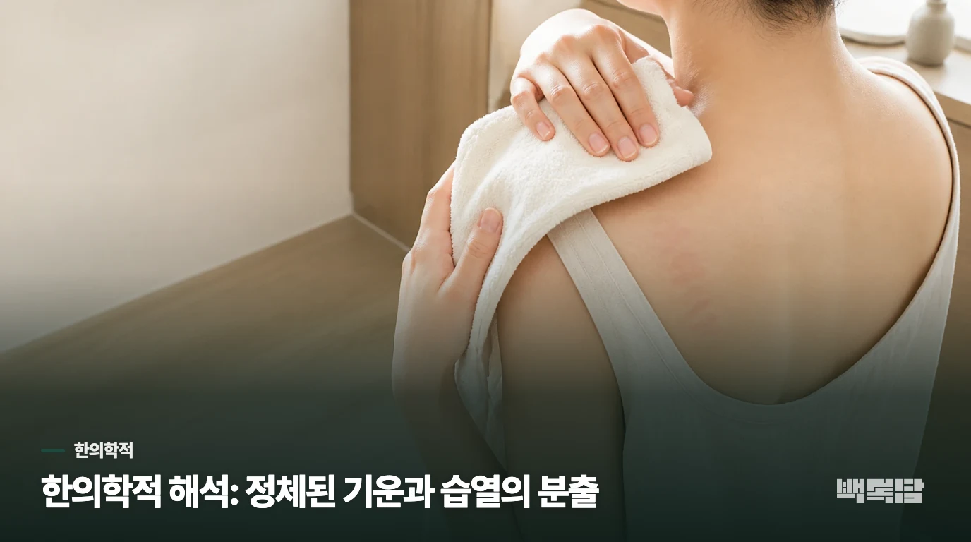 한의학적 해석: 정체된 기운과 습열의 분출