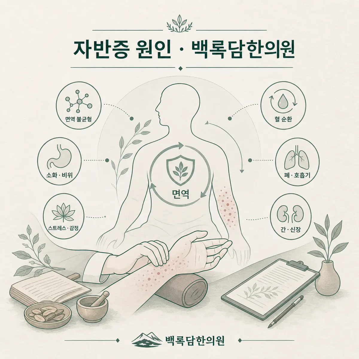 저희가 보는 자반증, 면역의 불균형이 만든 '혈관의 비명'입니다 — 섹션 주제를 상징하는 에디토리얼 일러스트 카드