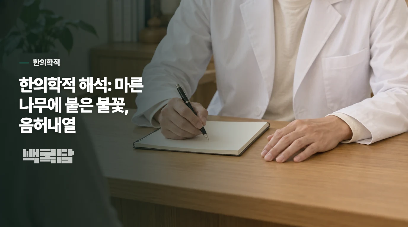 한의학적 해석: 마른 나무에 붙은 불꽃, 음허내열