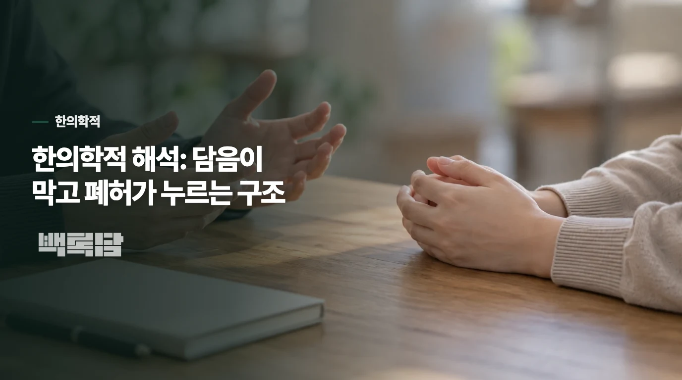 한의학적 해석: 담음이 막고 폐허가 누르는 구조