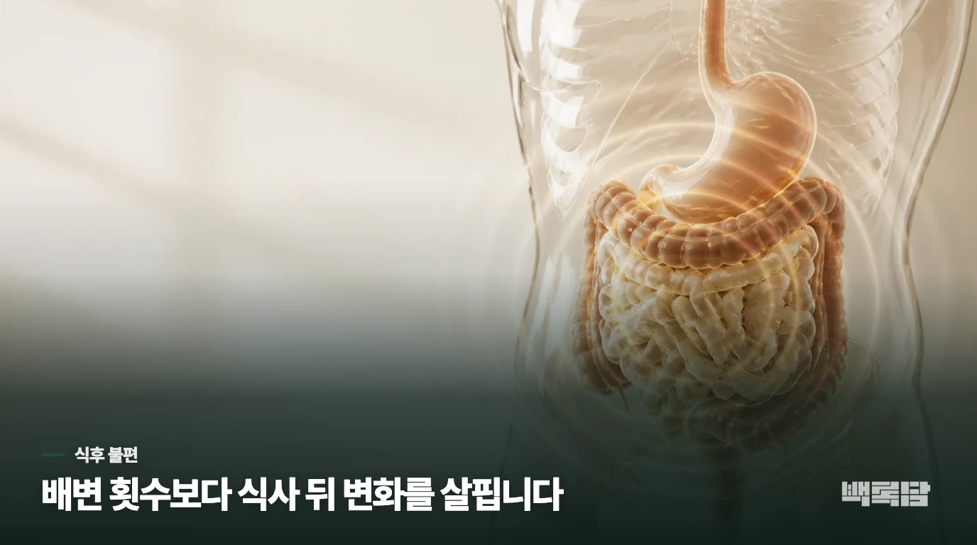 식사할 때마다 배가 더 차는 이유를 어떻게 볼까요