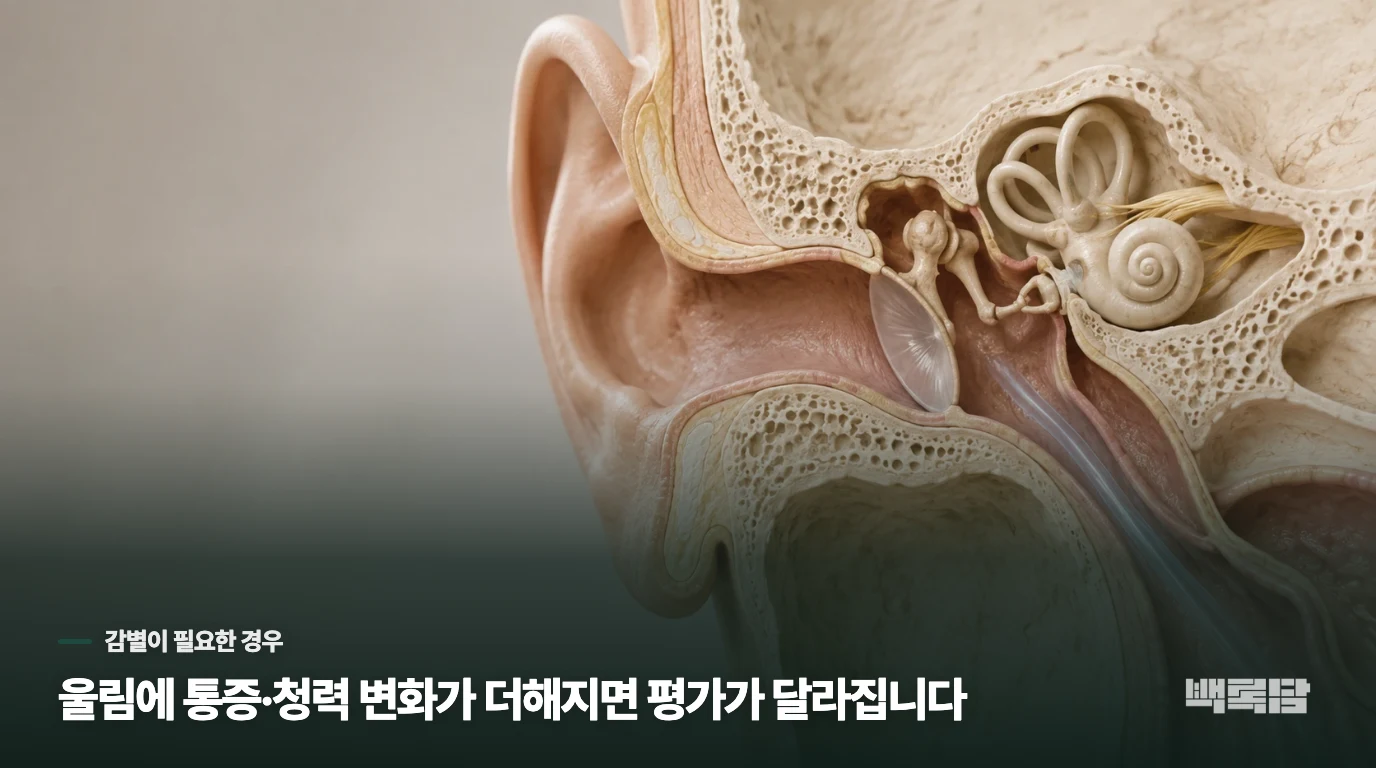 귀가 아프거나 청력이 떨어지면 다른 원인도 살핍니다