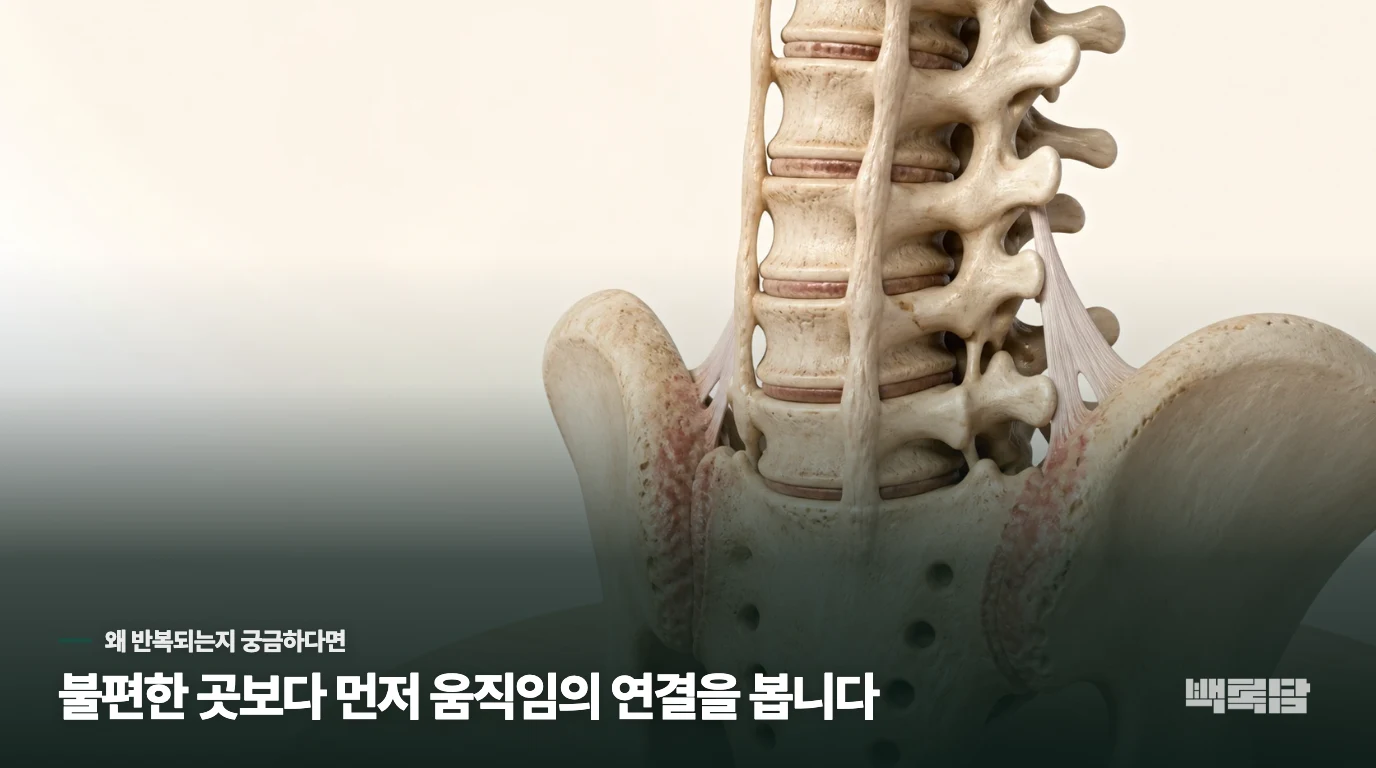 왜 쉬어도 안 낫고 움직여야 편해질까요?