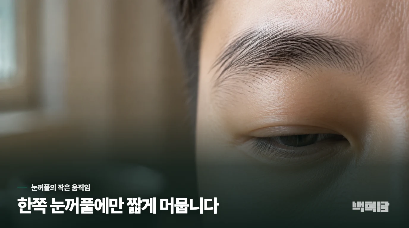 한쪽 눈꺼풀만 짧게 파르르 떨리는 이유는 무엇인가요?