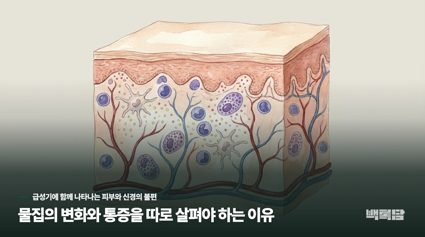 물집의 변화와 통증을 따로 살펴야 하는 이유