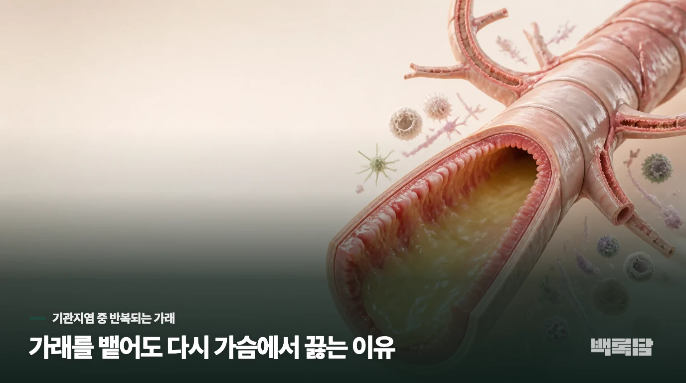가래를 뱉어도 다시 가슴에서 끓는 이유