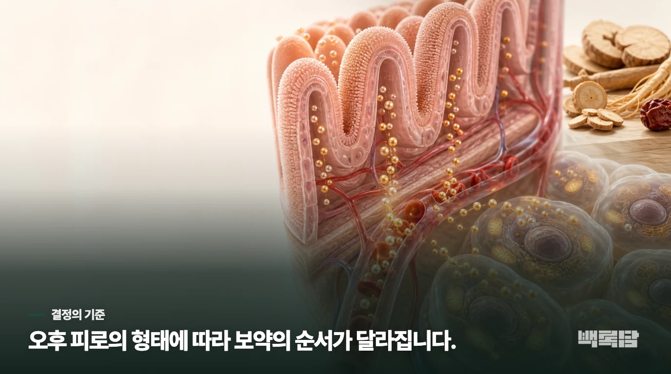 이럴 때는 보약보다 원인 평가가 앞섭니다