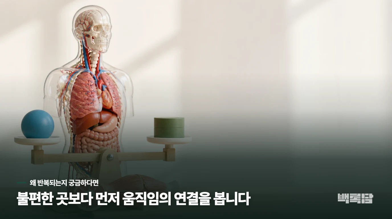성장 단계마다 약재 구성과 비용이 바뀌는 이유가 무엇인가요?