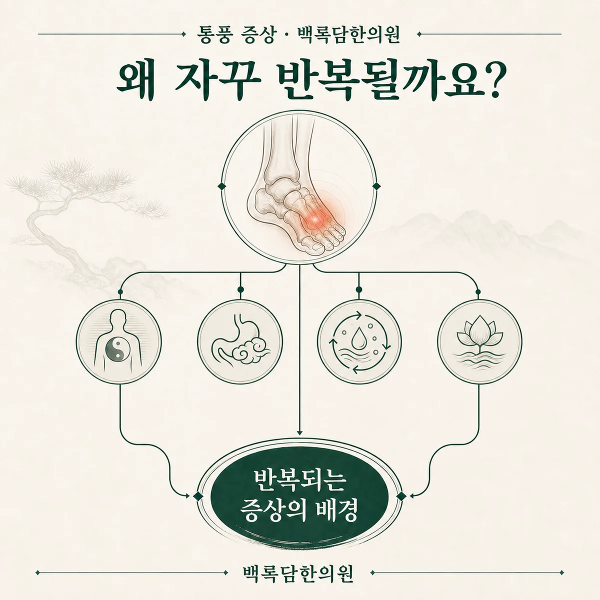 왜 반복되는 걸까요 — 겉 증상과 몸속 조건(체질/불균형)을 연결하는 한의학적 개념도 — 관계도/다이어그램 톤