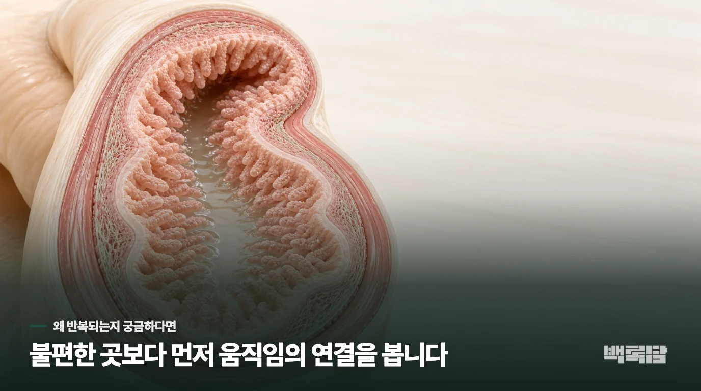 원인에 대한 오해: '무조건 상한 음식' 때문만은 아닙니다