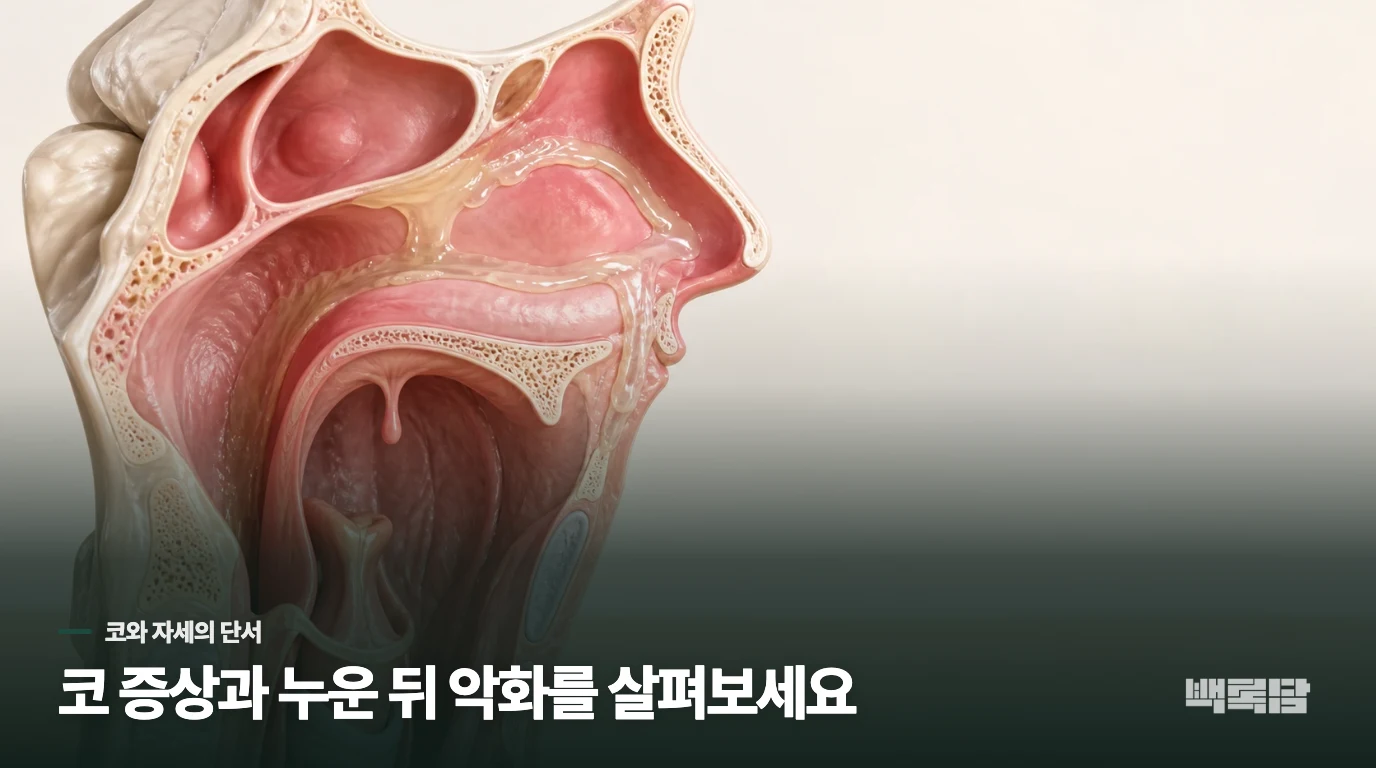 코 증상과 누운 뒤 악화는 코·부비동 쪽 단서입니다