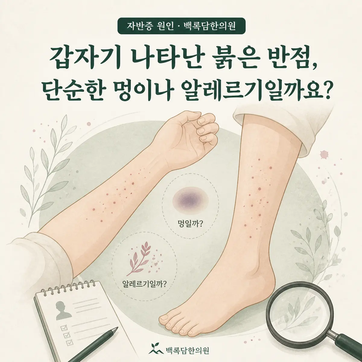 갑자기 나타난 붉은 반점, 단순한 멍이나 알레르기일까요? — 섹션 주제를 상징하는 에디토리얼 일러스트 카드