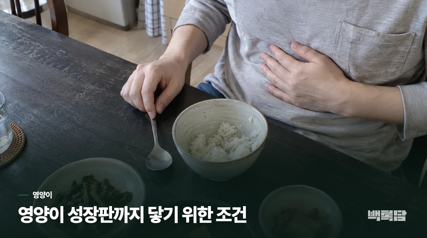 영양이 성장판까지 닿기 위한 조건