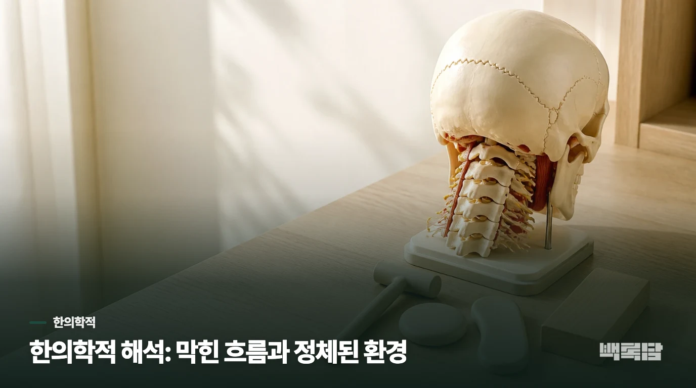 한의학적 해석: 막힌 흐름과 정체된 환경