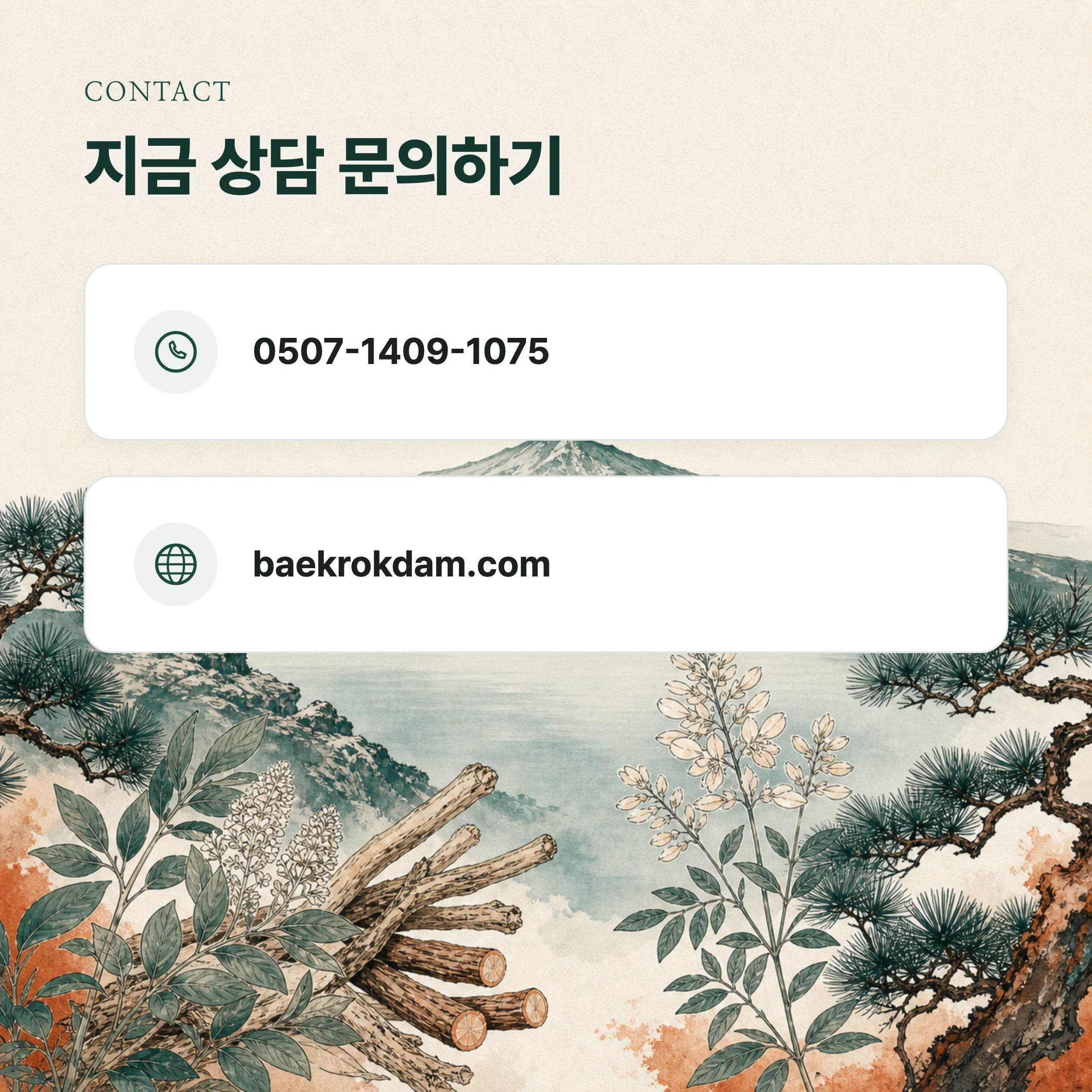 마무리 — 백록담한의원 전화번호·홈페이지 상담 문의 안내를 담은 브랜드 일러스트 정보 카드 — 백록담·소나무 모티프의 에디토리얼 아트웍 위에 연락 정보를 정리한 컷