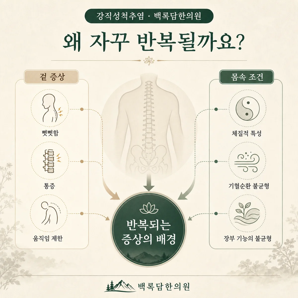 왜 쉬어도 안 낫고 움직여야 편해질까요? — 겉 증상과 몸속 조건(체질/불균형)을 연결하는 한의학적 개념도 — 관계도/다이어그램 톤