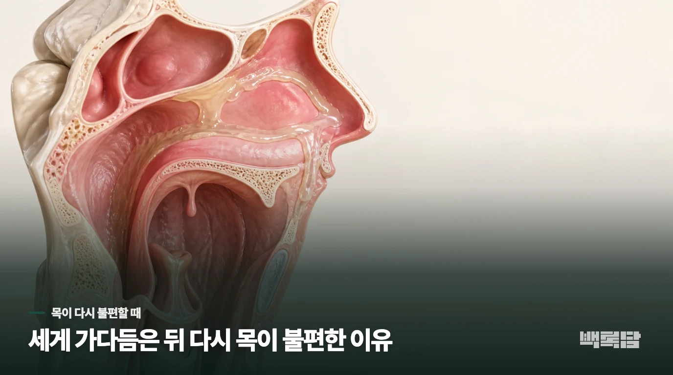 세게 가다듬은 뒤 다시 목이 불편한 이유