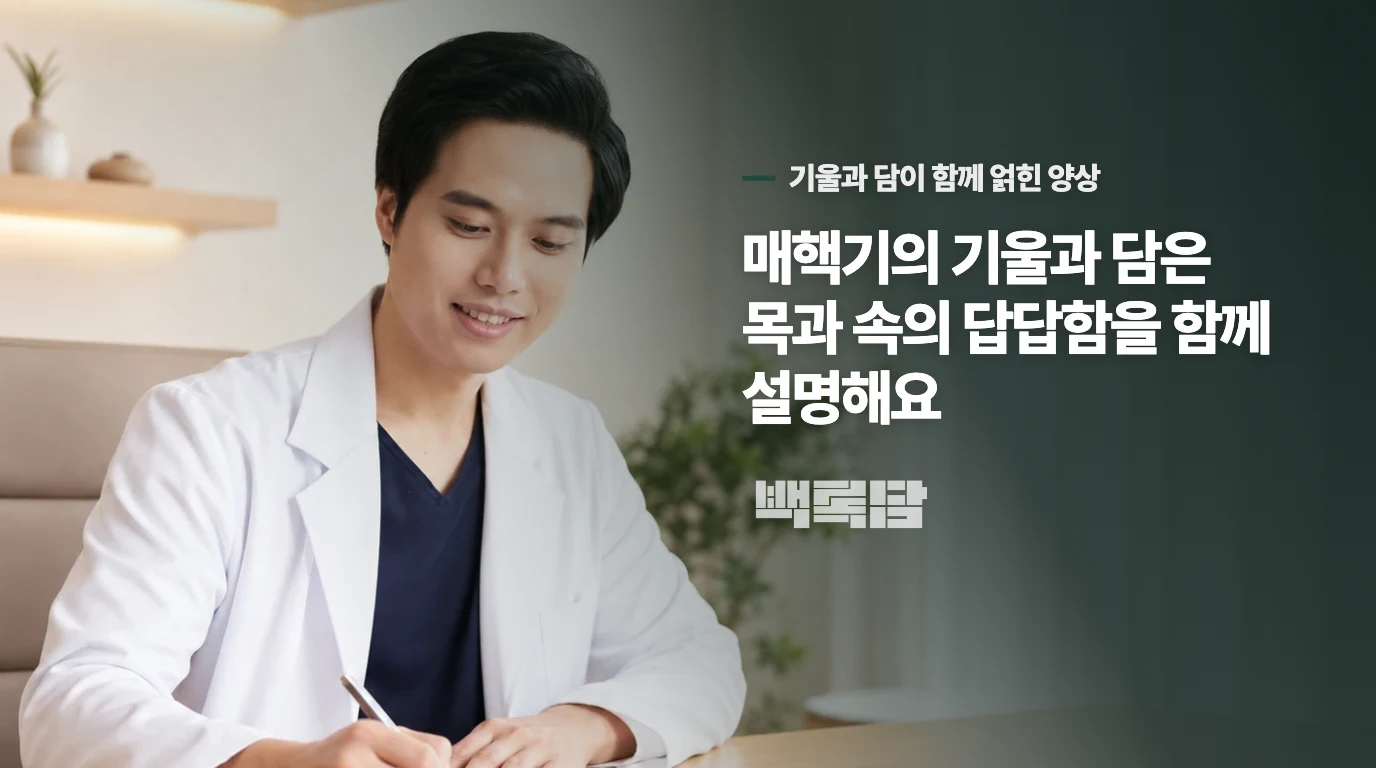 매핵기의 기울과 담은 목과 속의 답답함을 함께 설명해요