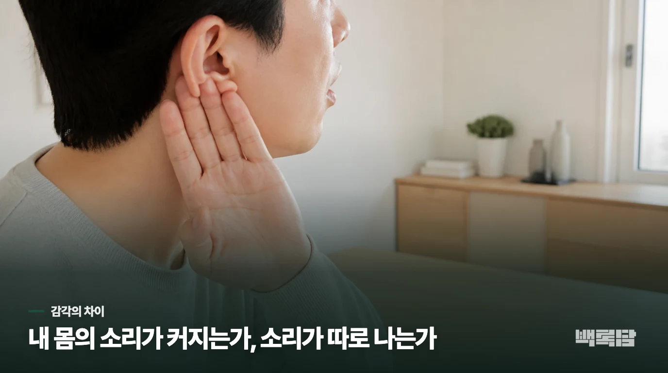 내 목소리와 숨소리가 커지는 방식은 이명과 다릅니다