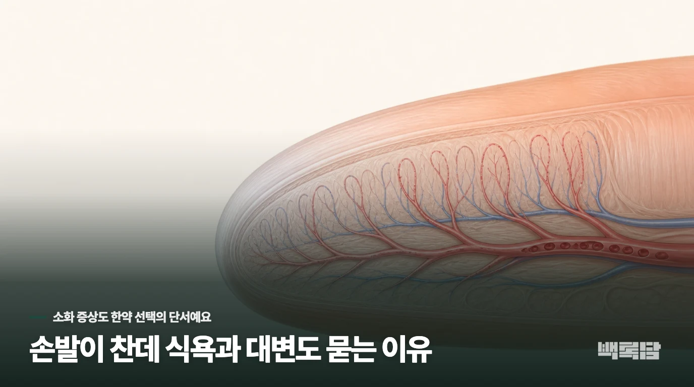손발이 찬데 식욕과 대변도 묻는 이유
