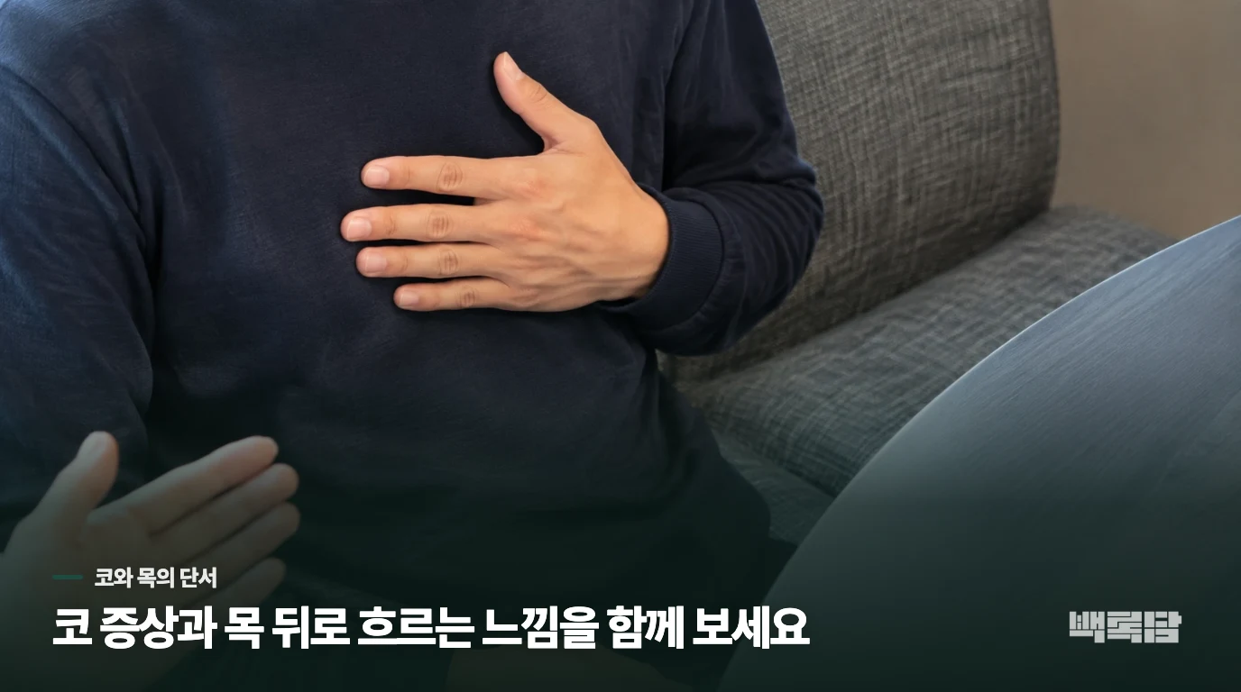 코가 막히고 목 뒤로 흐르는 느낌이 함께 있다면