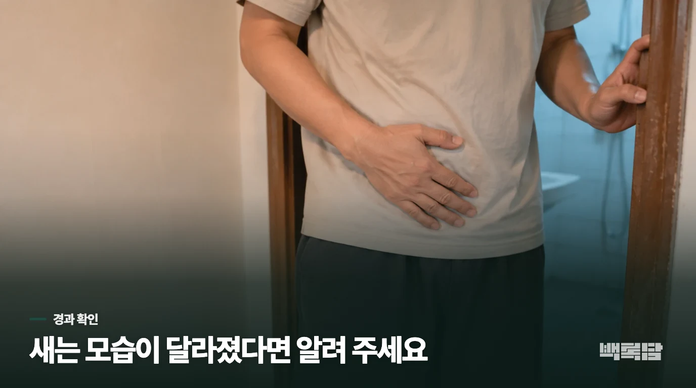 새는 모습이 달라졌다면 알려 주세요