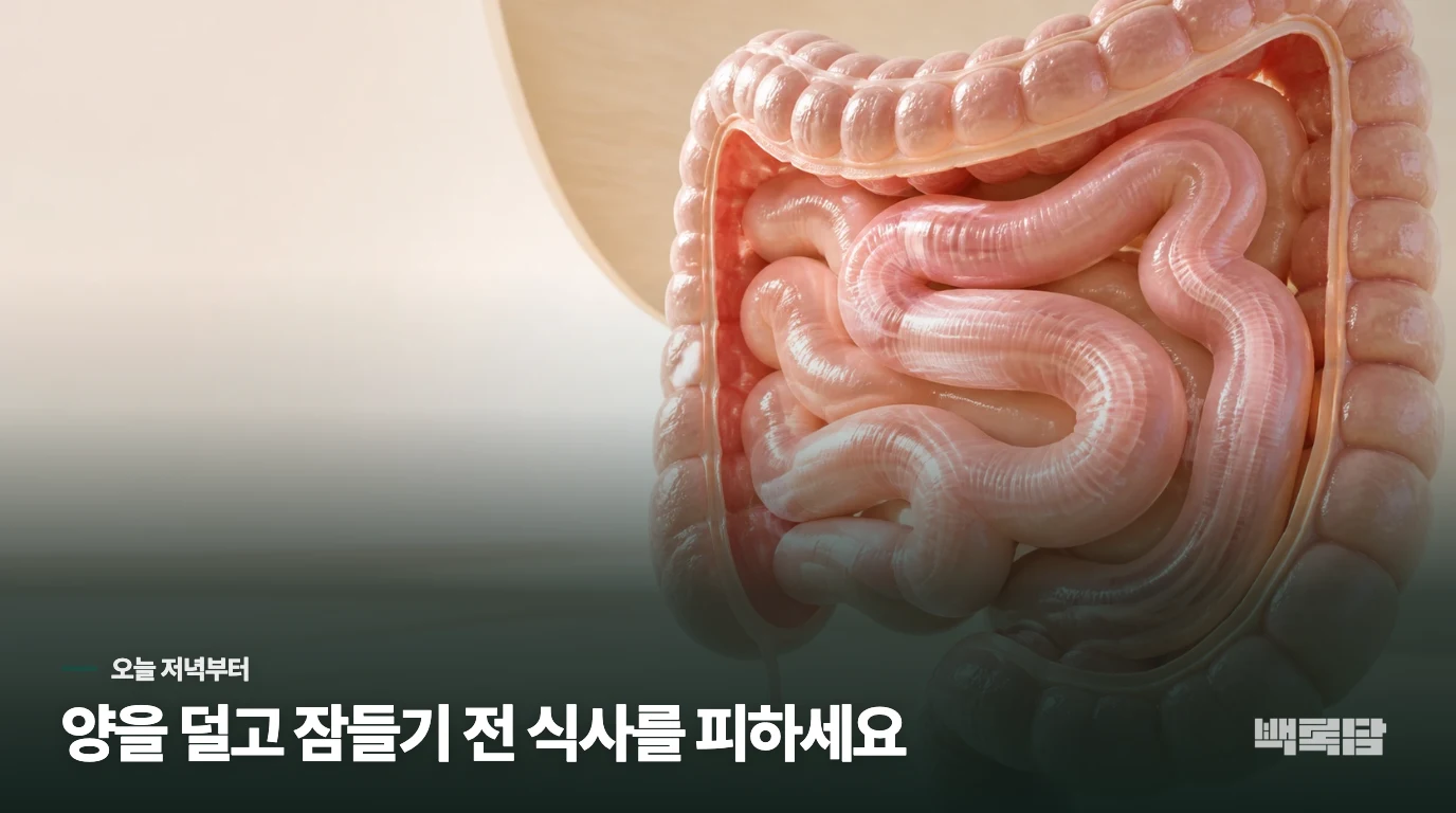 굶지 말고 저녁 양과 잠들기 전 간격을 바꿔 보세요