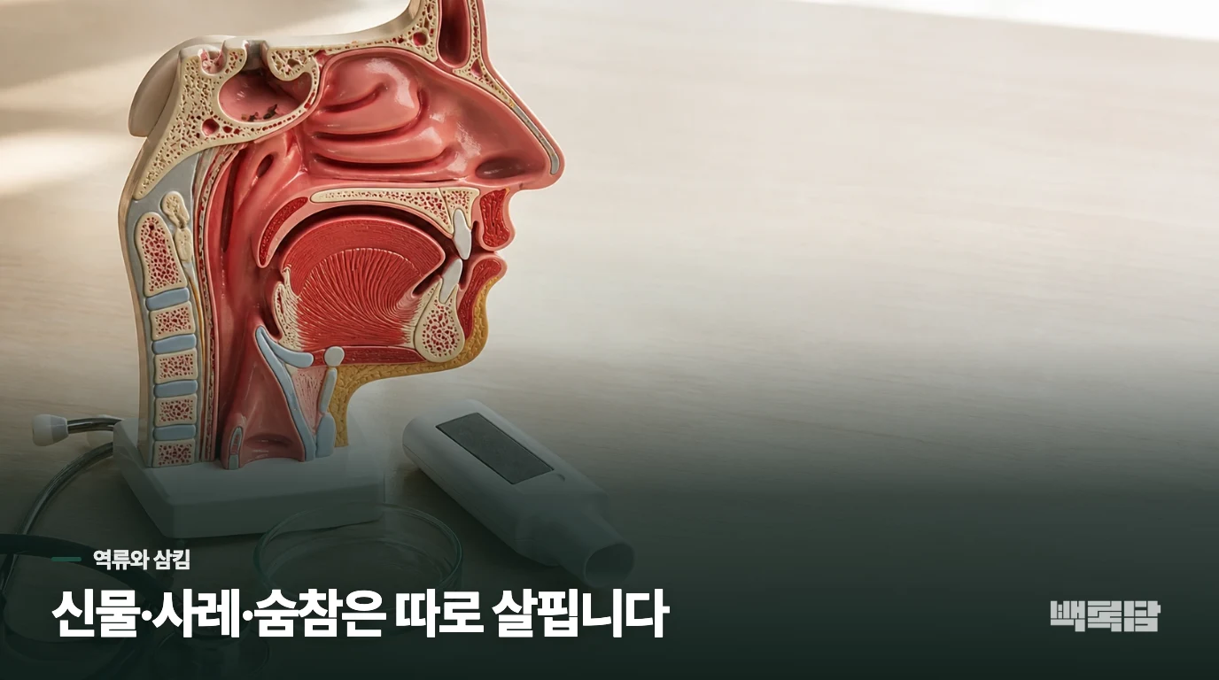 속쓰림·삼킴·목소리 변화가 있으면 다른 원인도 봐야 합니다