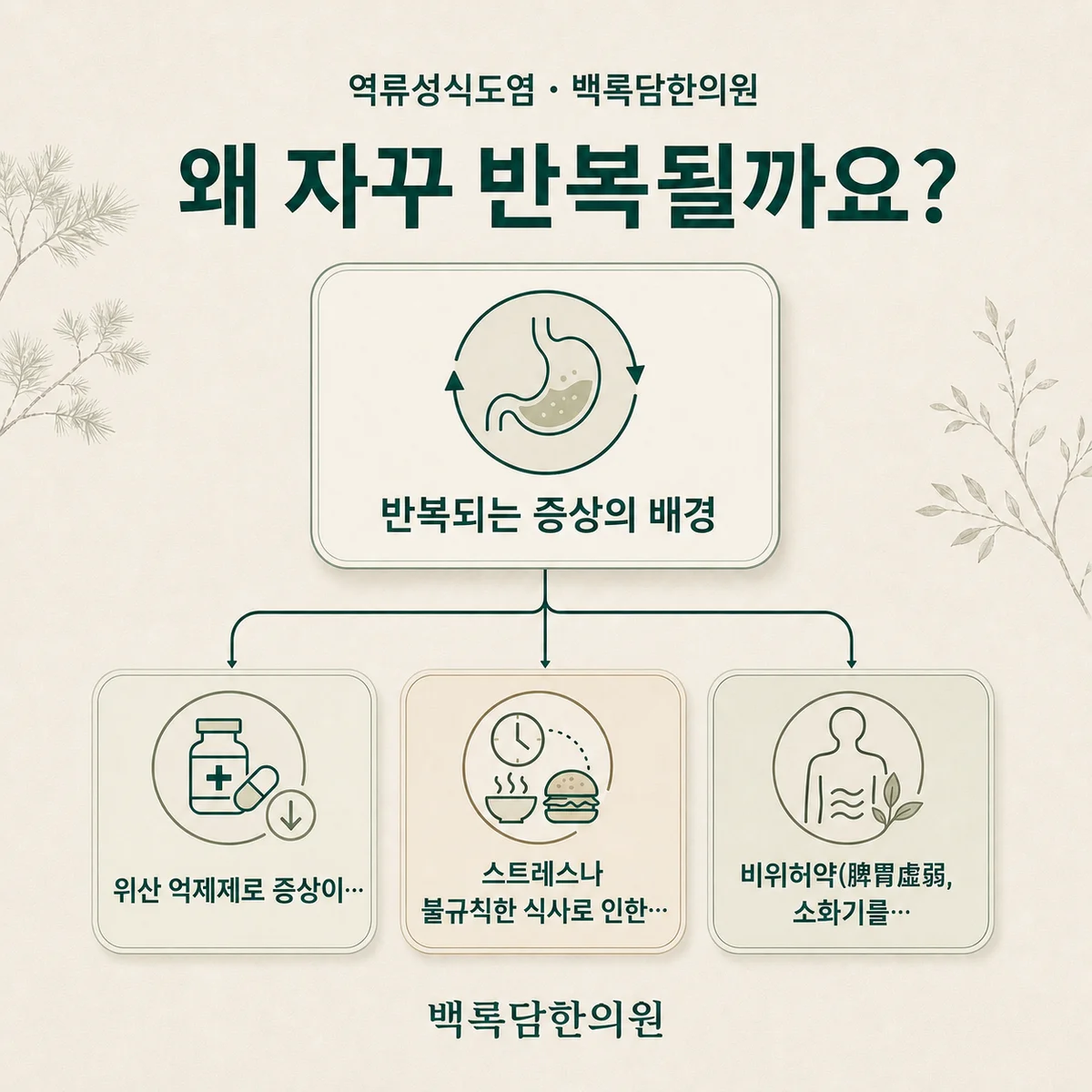 역류성식도염 — 겉 증상과 몸속 조건(체질/불균형)을 연결하는 한의학적 개념도 — 관계도/다이어그램 톤