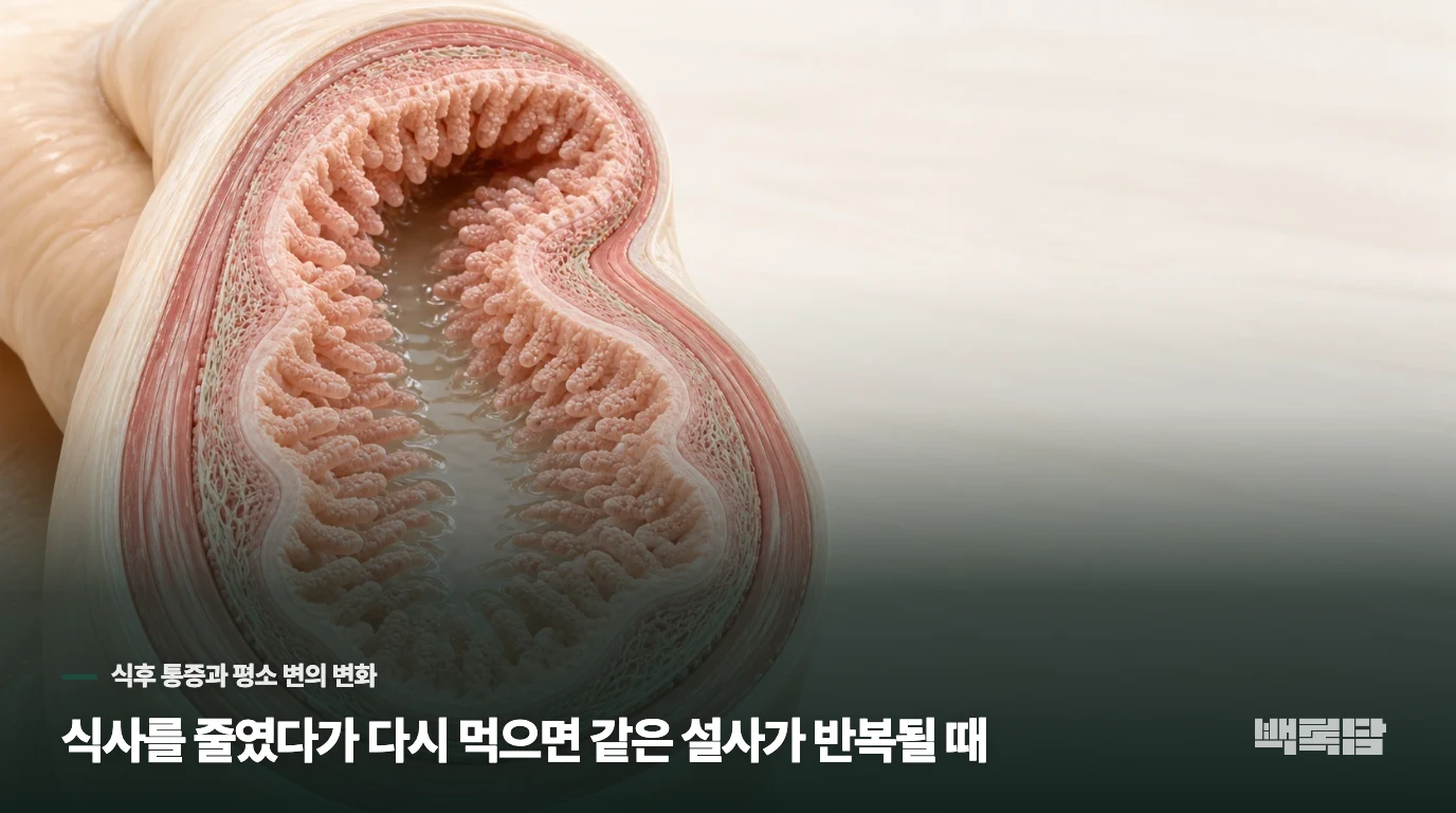 식사를 줄였다가 다시 먹으면 같은 설사가 반복될 때
