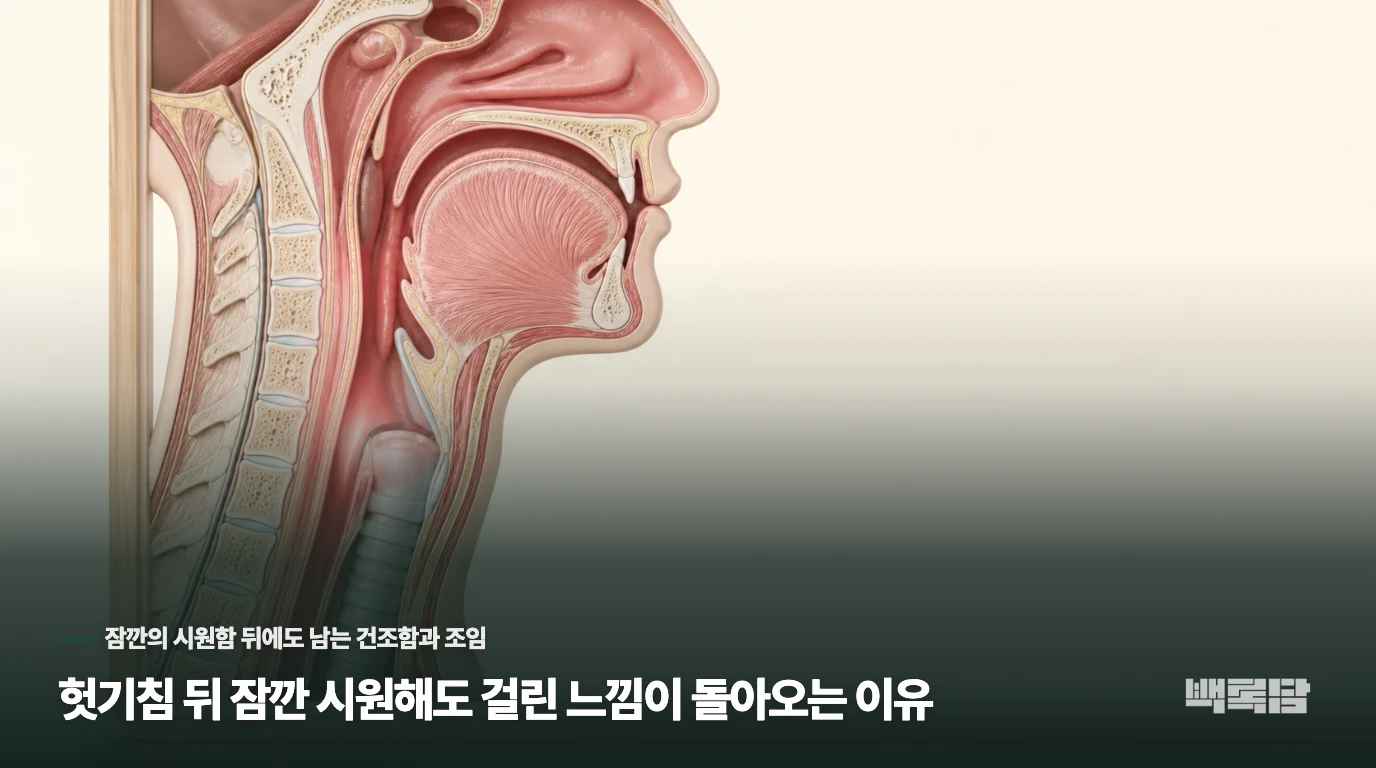 헛기침 뒤 잠깐 시원해도 걸린 느낌이 돌아오는 이유
