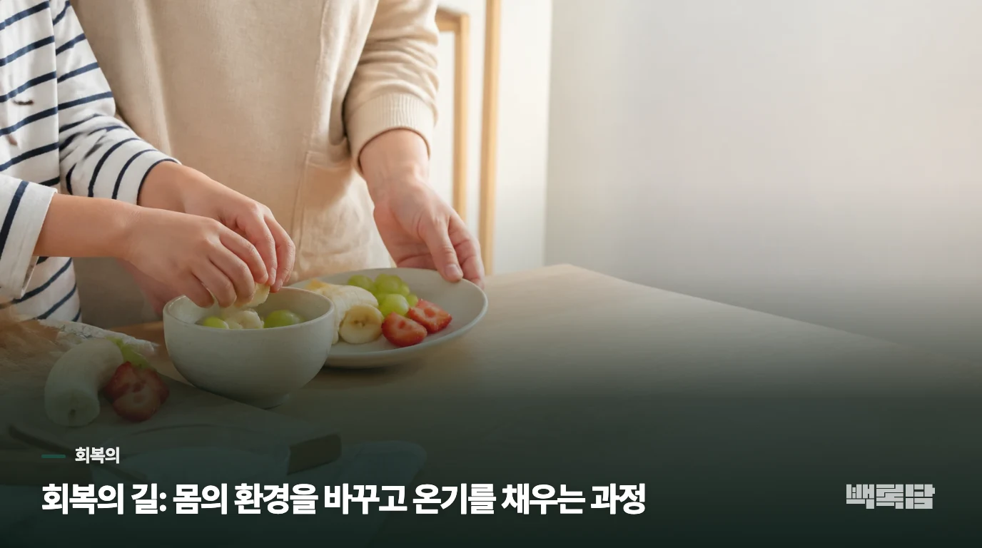 회복의 길: 몸의 환경을 바꾸고 온기를 채우는 과정