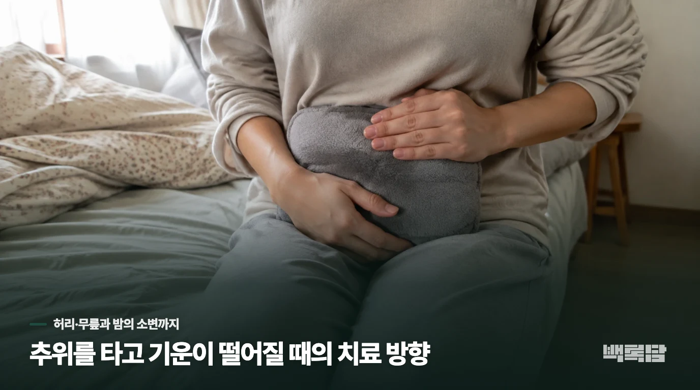 추위를 타고 기운이 떨어질 때의 치료 방향