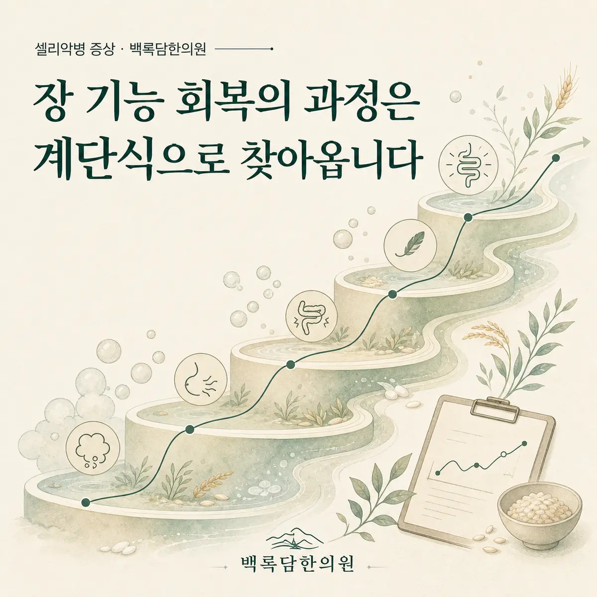 장 기능 회복의 과정은 계단식으로 찾아옵니다 — 섹션 주제를 상징하는 에디토리얼 일러스트 카드