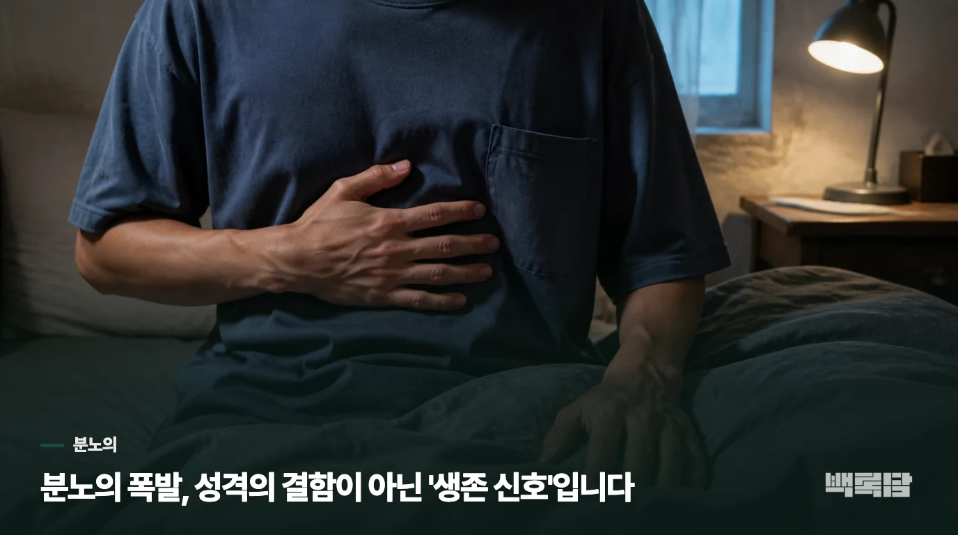 분노의 폭발, 성격의 결함이 아닌 '생존 신호'입니다