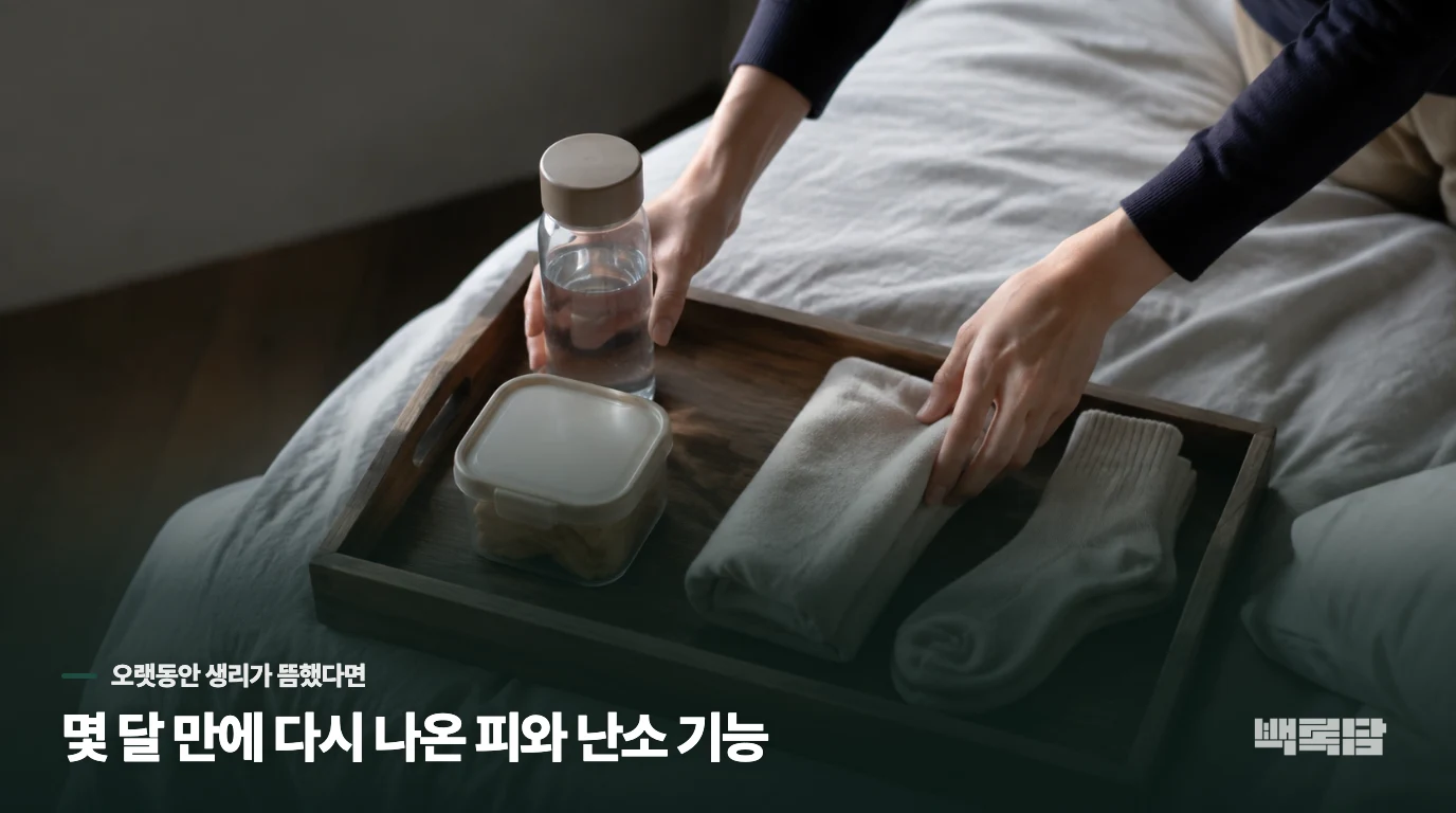 몇 달 만에 다시 나온 피와 난소 기능