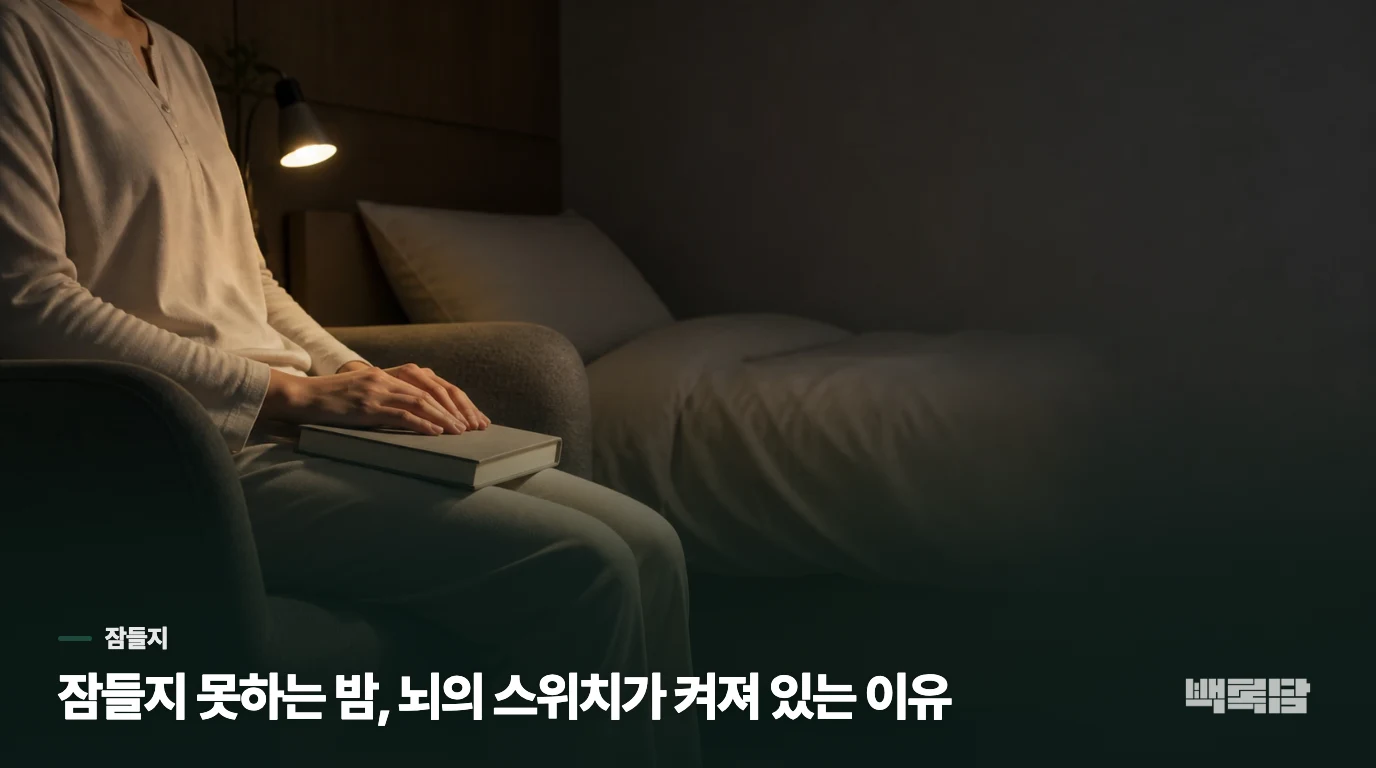 잠들지 못하는 밤, 뇌의 스위치가 켜져 있는 이유