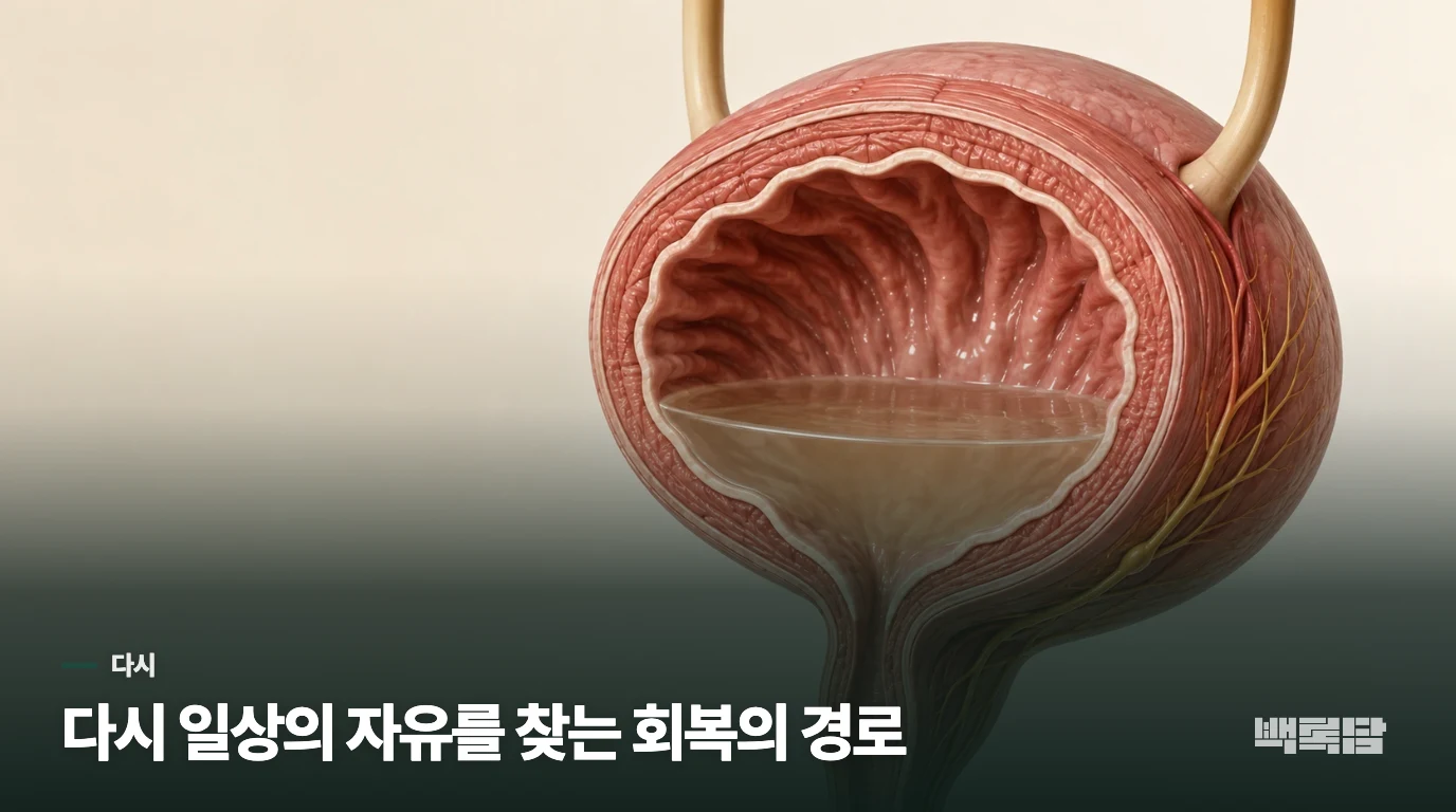 다시 일상의 자유를 찾는 회복의 경로