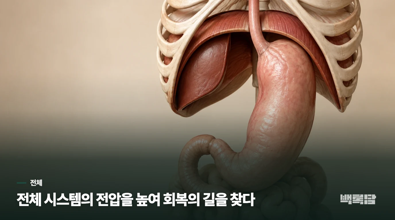 전체 시스템의 전압을 높여 회복의 길을 찾다