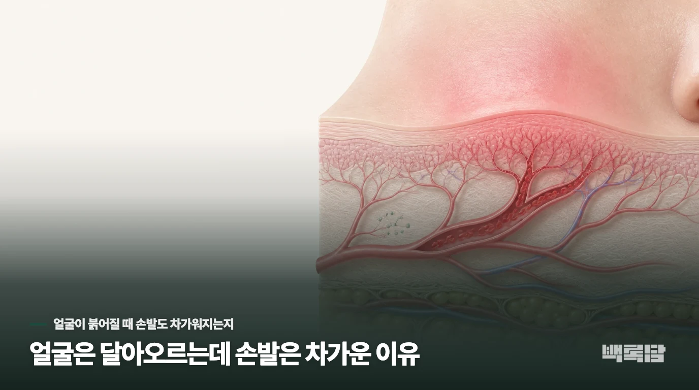 얼굴은 달아오르는데 손발은 차가운 이유